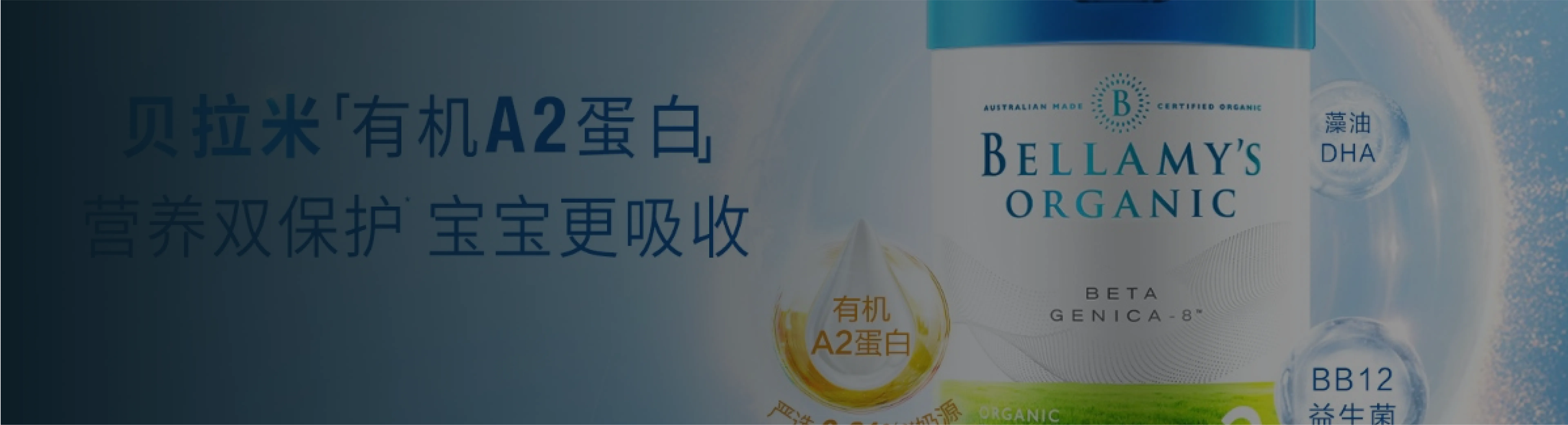 贝拉米